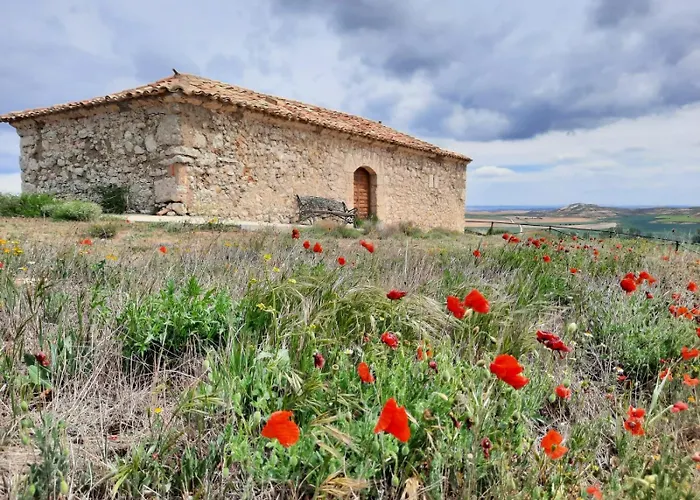 Amistad Y Convivencia 1